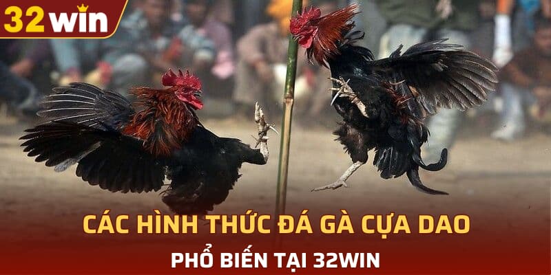 Các hình thức đá gà cựa dao phổ biến tại 32WIN