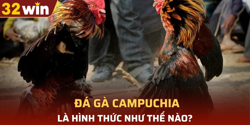 Đá gà Campuchia là hình thức như thế nào?