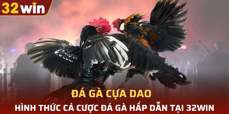 đá gà cựa dao