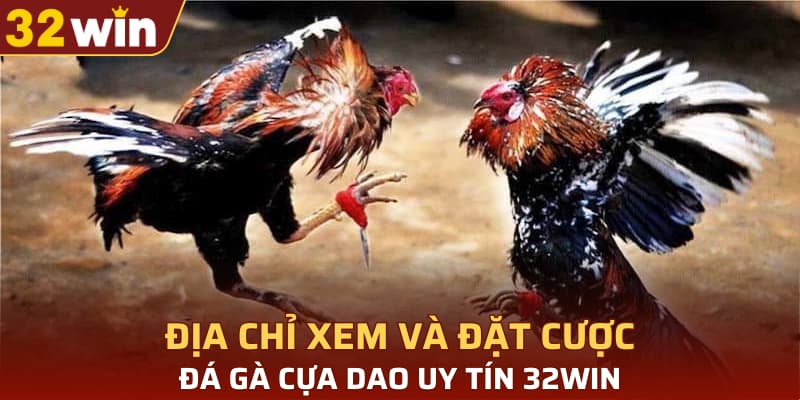 Địa chỉ xem và đặt cược đá gà cựa dao uy tín 32WIN