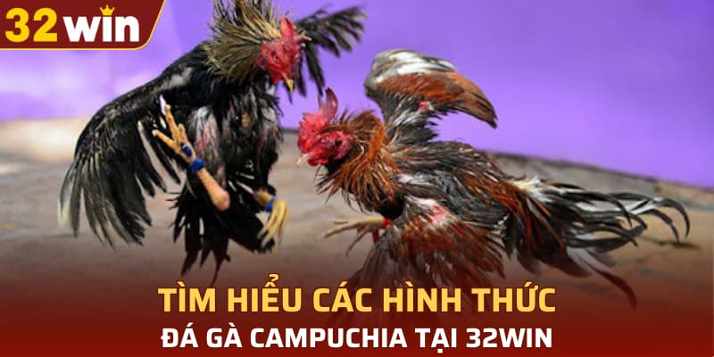 Tìm hiểu các hình thức đá gà Campuchia tại 32WIN