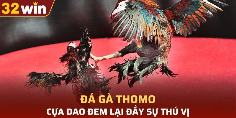 Cựa dao đem lại đầy sự thú vị