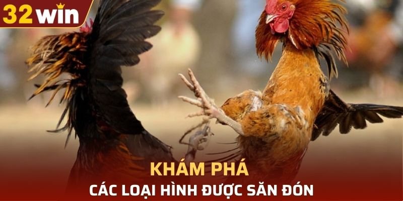 Đá gà cựa sắt mang đến nhiều hình thức thi đấu