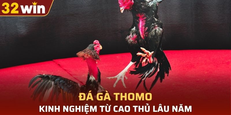 Kinh nghiệm đặc sắc từ cao thủ lâu năm